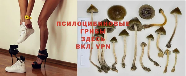 герыч Алзамай